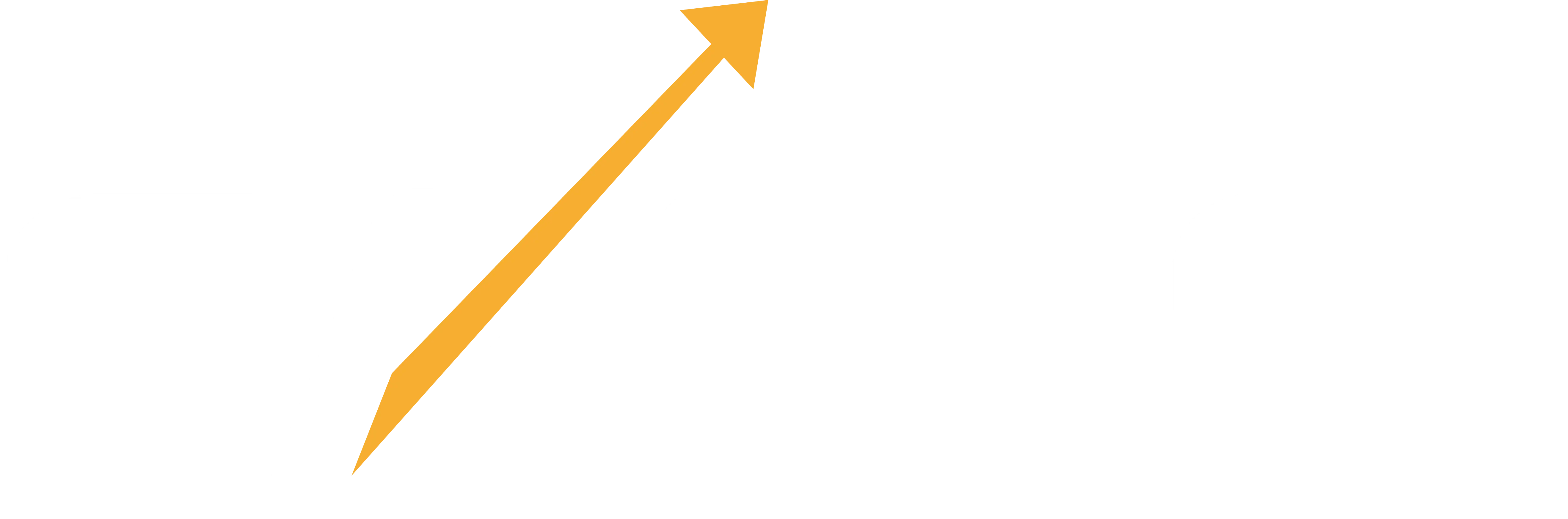 Fanisi_Logo_White Fanisi_Logo_White